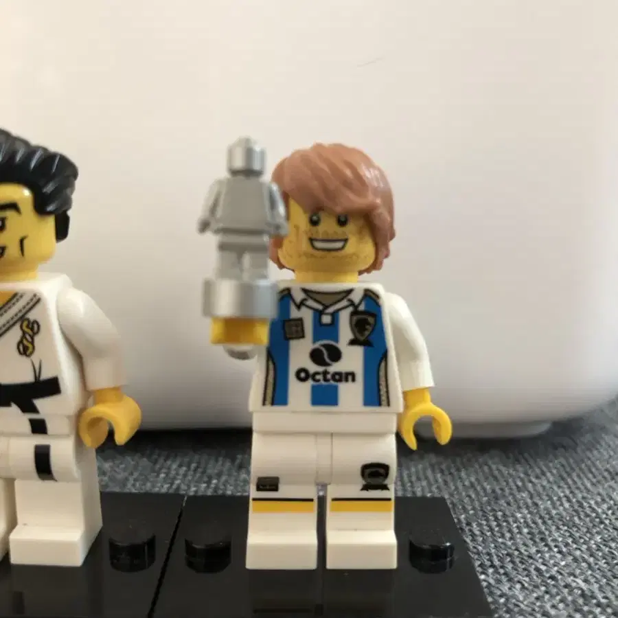 モンチッチ LEGO | 레고 Lego Minecraft 21181 The Rabbit Ranch on Bunjang