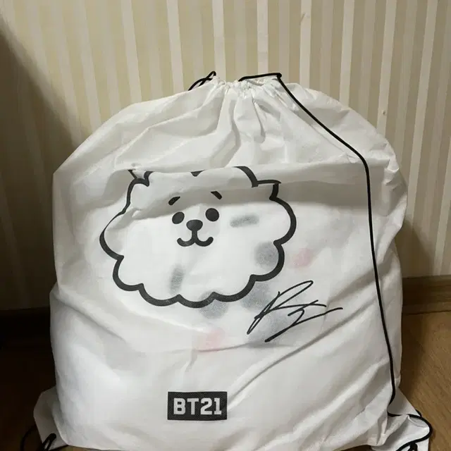 BT21 42cm 방탄 인형(더스트팩포함) 치미 알제이 코야