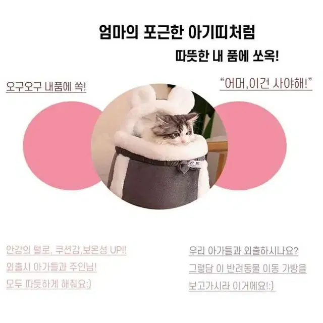 무료배송ㅣ야외산책 앞가방 고양이 강아지 애견용품