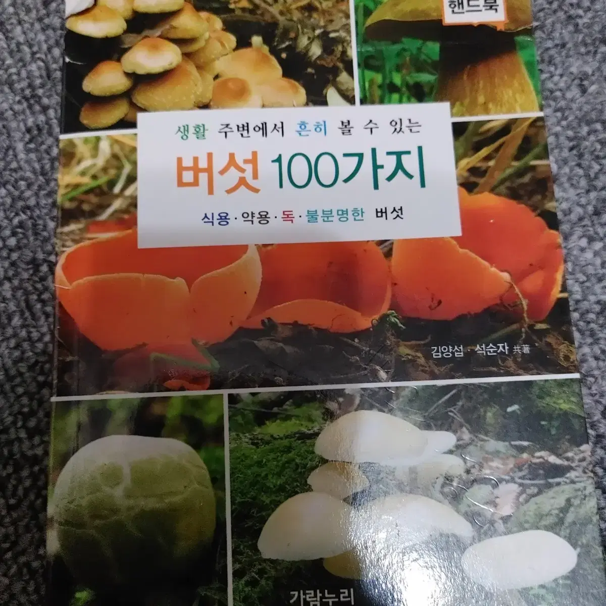 버섯 100가지 식용 약용 독 불분명한 버섯 도서 책 핸드북