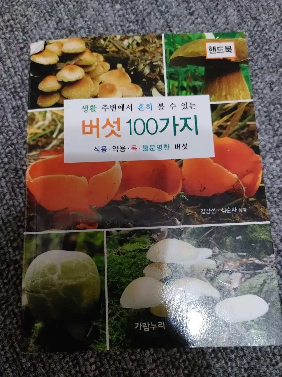 버섯 100가지 식용 약용 독 불분명한 버섯 도서 책 핸드북