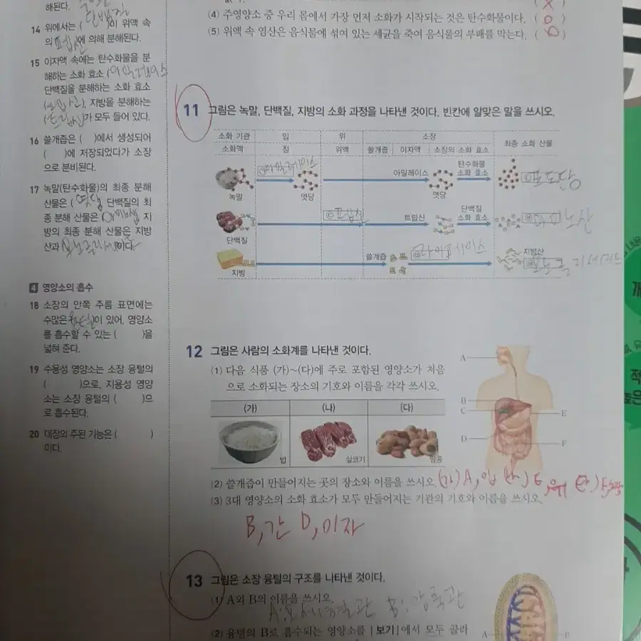 중2 mbest전용 과학문제집&역사 문제집