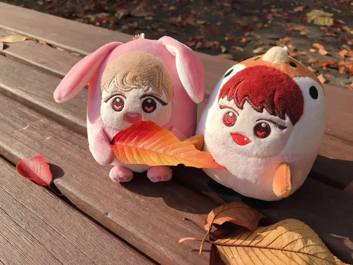 ab6ix park woojin 10cm doll Charmsaming