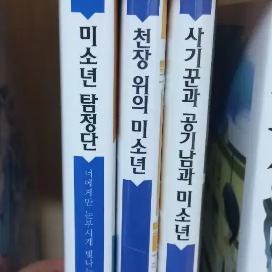 버림받은 왕비,금색의 코르다, 왕실교사 하이네등등