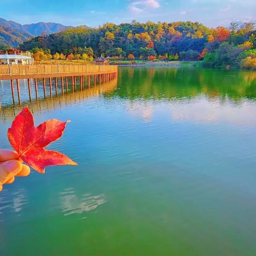 (교환전용) 고맙습니다^^