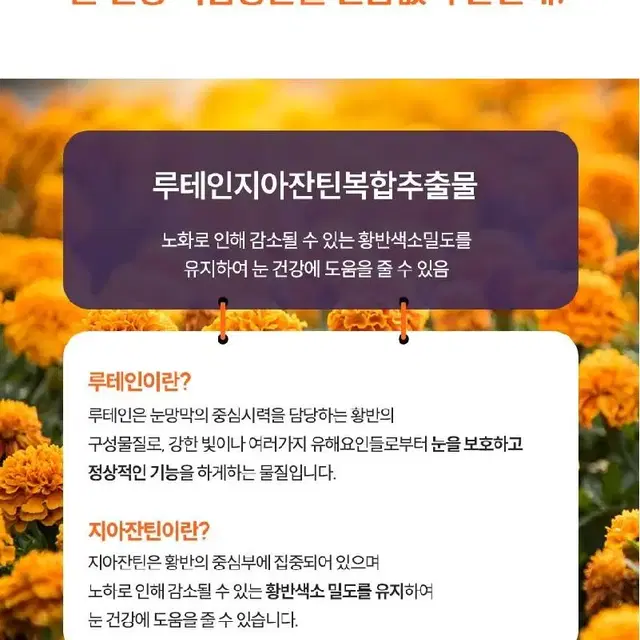 눈영양제 루테인 지아잔틴 4개월분