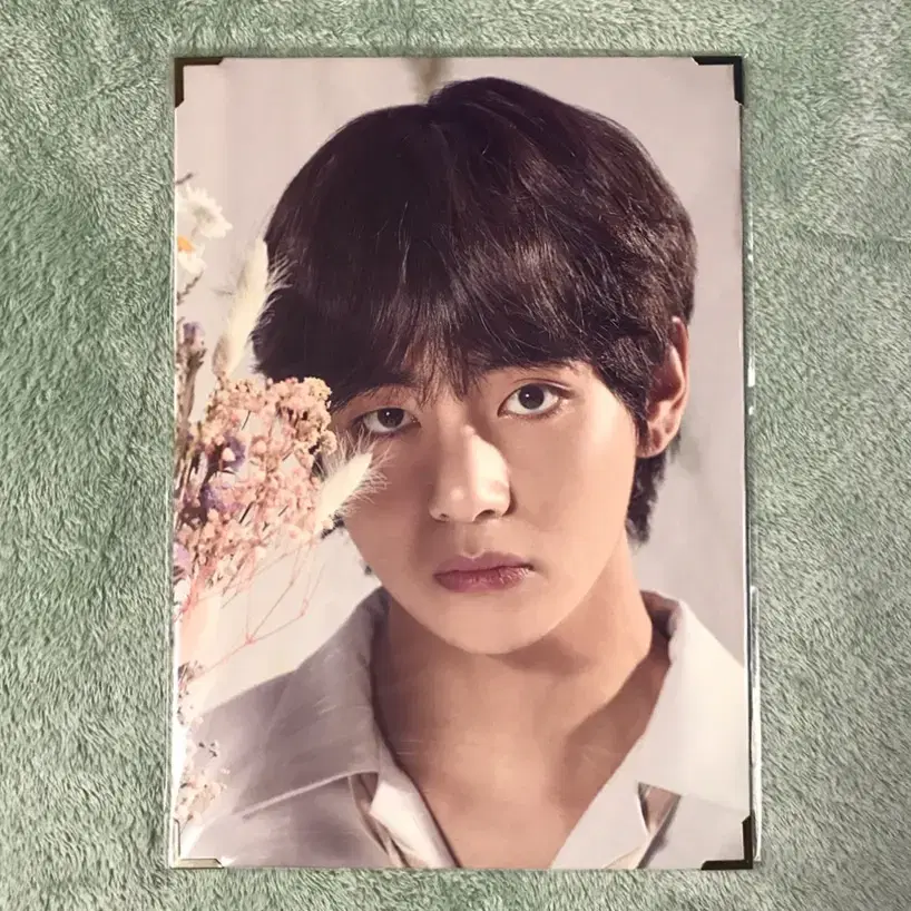 BTS 럽셀콘 LYS 프포 태형 v V BTS 럽유셀 Premium Photo