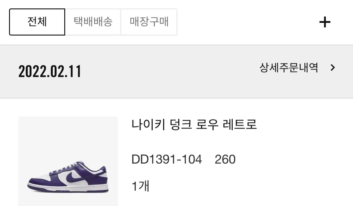 Nike Dunk Low Retro Purple 260