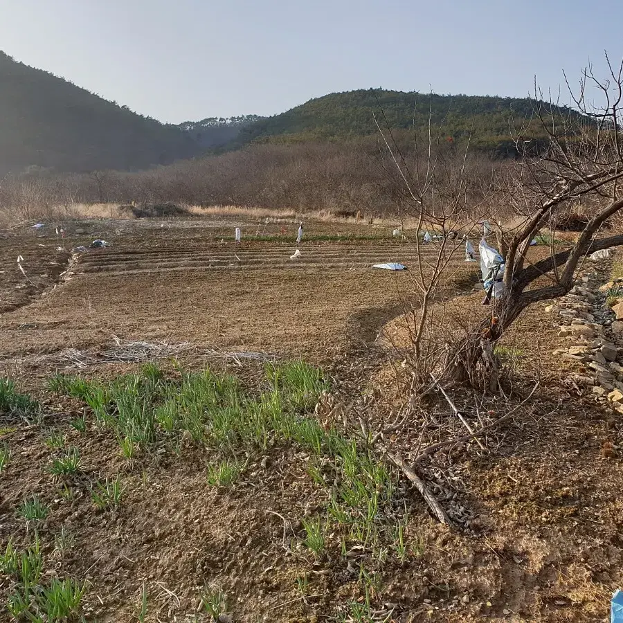 전망좋은 순창 농막 귀농 귀촌 토지(전,759평)