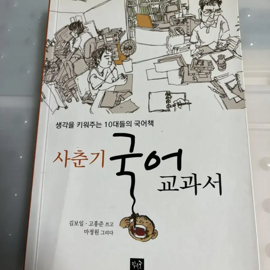 사춘기국어고과서 책