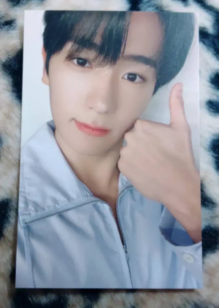 The Boyz Lapotisel hyunjae photocard