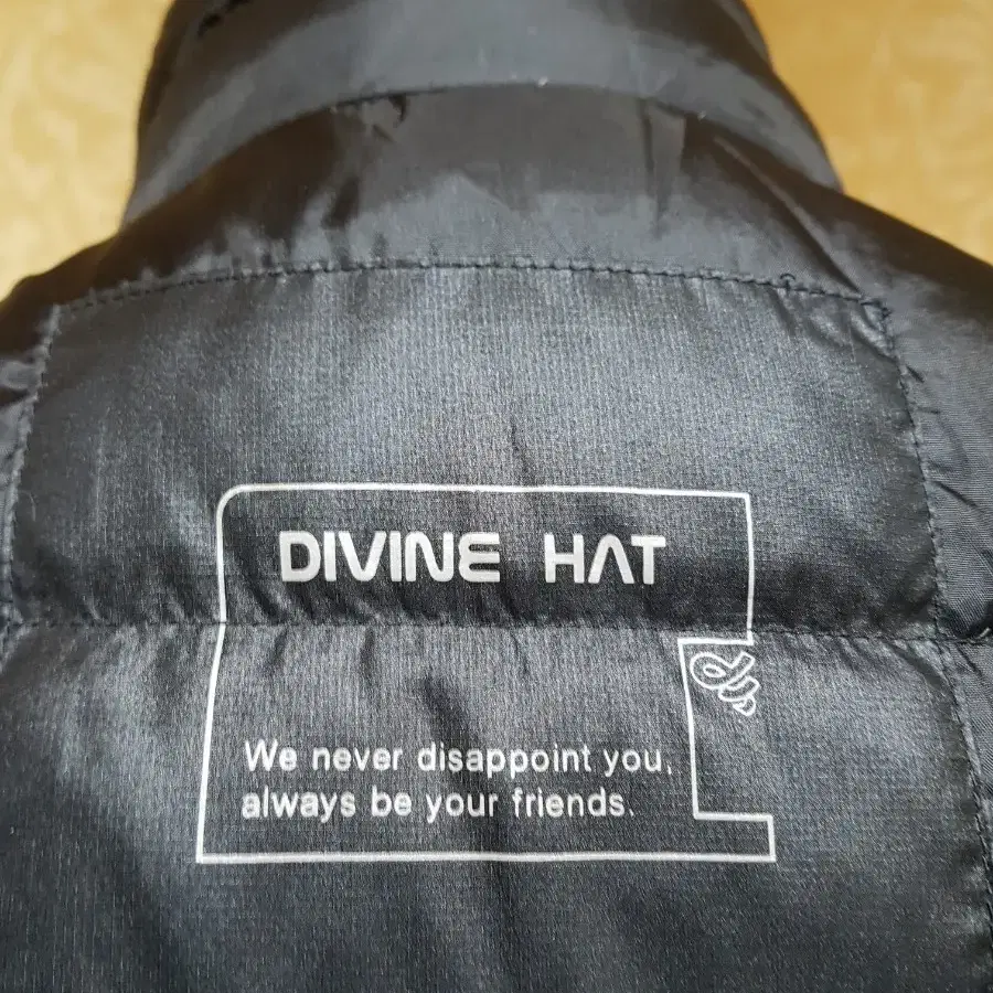 Divine Hat 구스다운 패딩