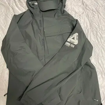 팔라스 고어텍스 palace gore-tex p cap 