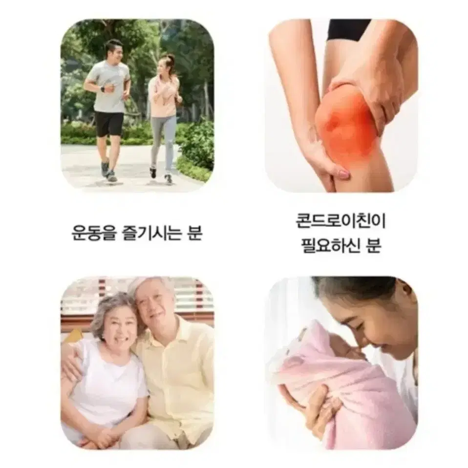 상어연골+보스웰리아 골드(4개월분)