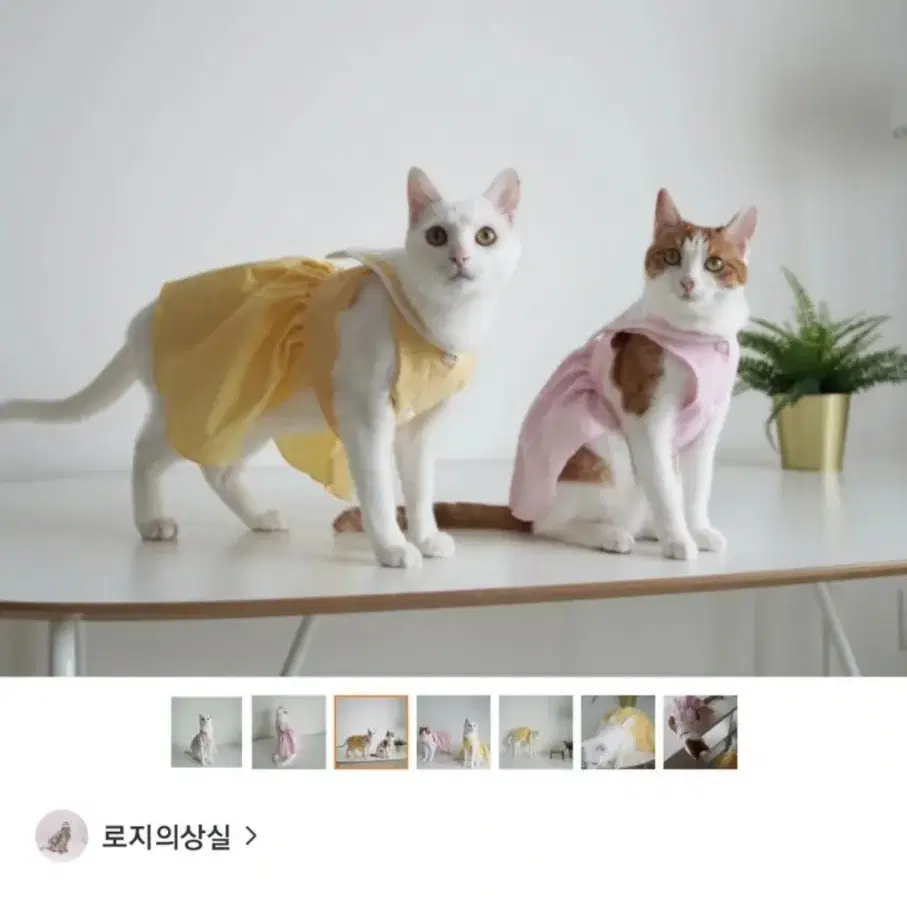 (새상품)강아지 고양이 토끼 세일러 옷 노랑