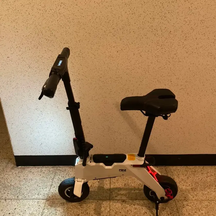 Electric Kickboard/Electric Wheel 레이윙미니,전동킥보드,전동스쿠터 on Bunjang with