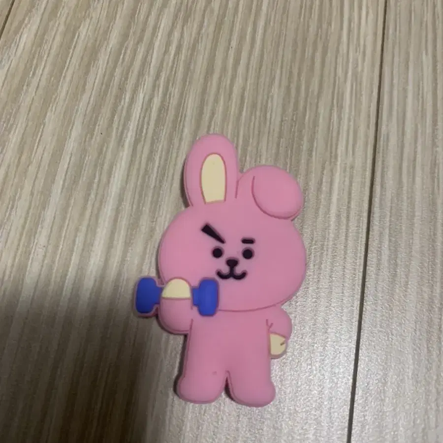 bt21 쿠키 방탄 정국 부채 마그넷