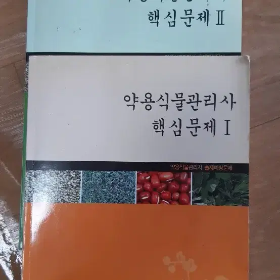 보시는그대로