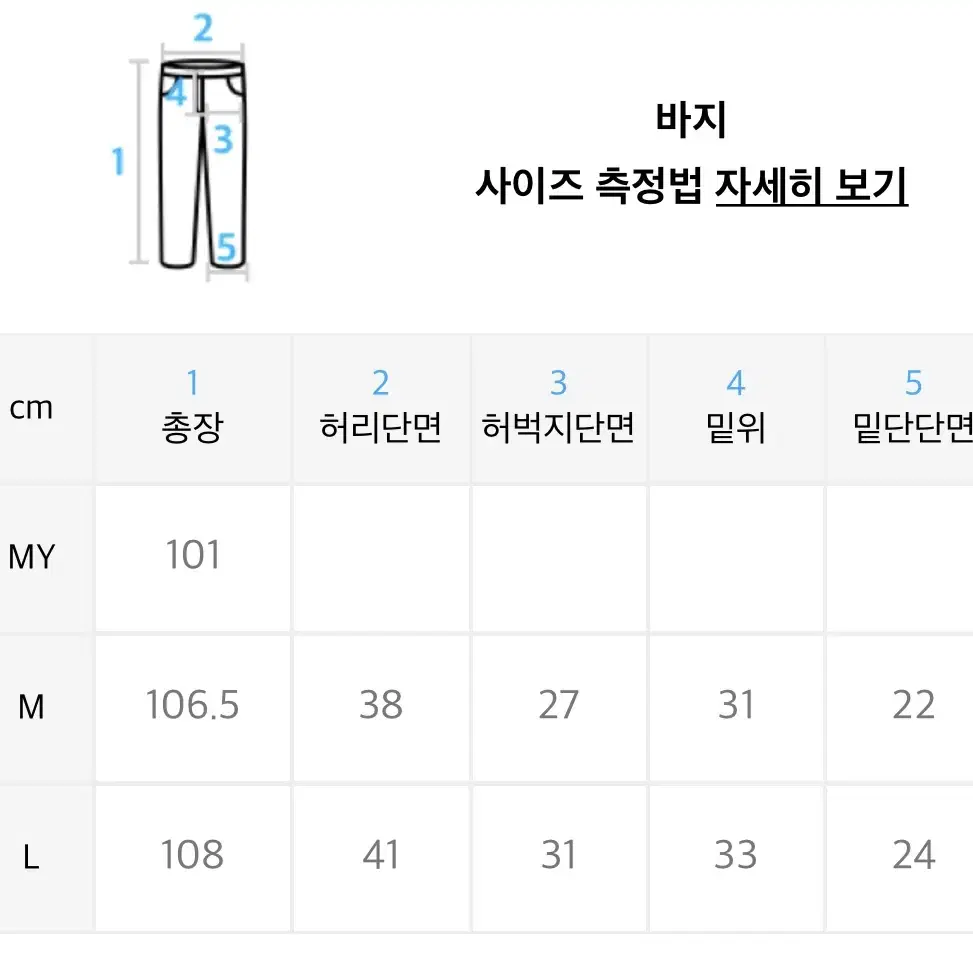 노메뉴얼 나일론 패턴 팬츠 (L)