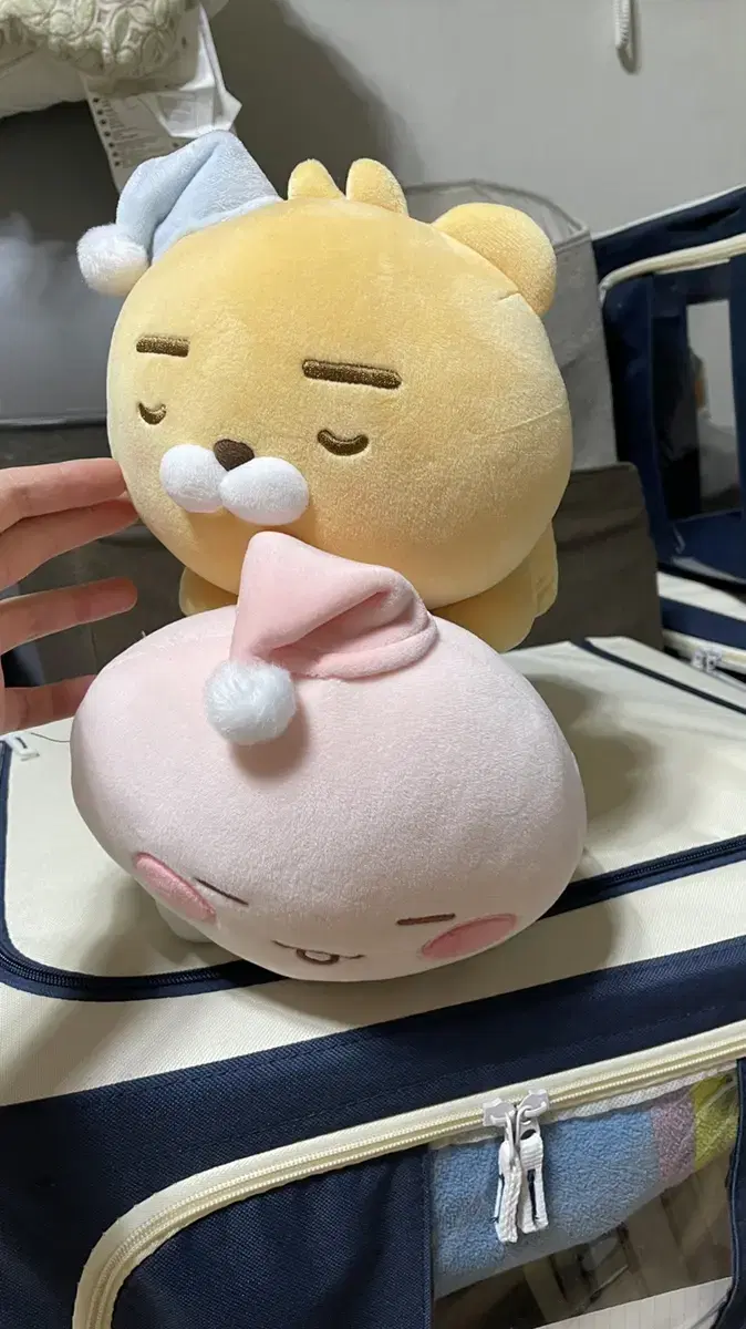 (Genuine) Kakao Friends doll 