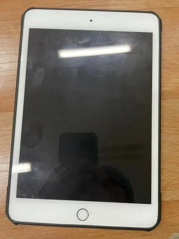 iPad mini