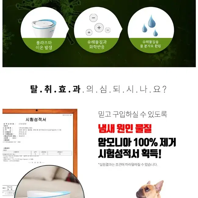 플라즈마 팻케어 공기청정기