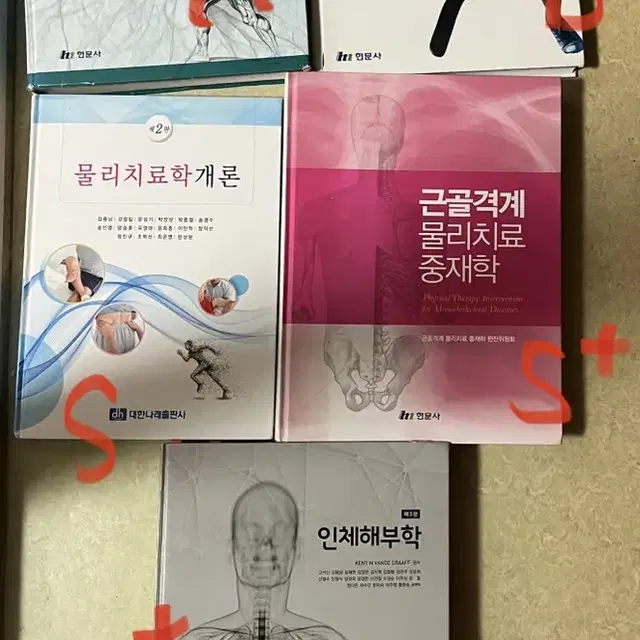 물리치료학개론/인체해부학/근골격계물리치료중재학/신경계물리치료중재학 판매