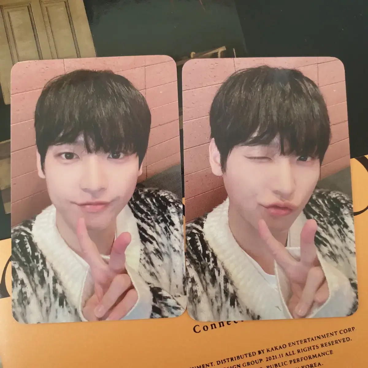 SF9 inseong everline unreleased photocard