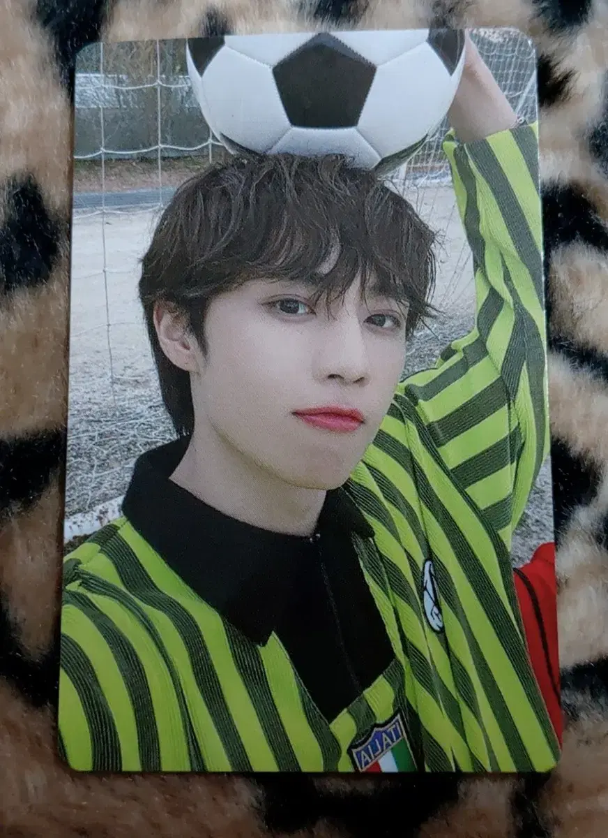 The Boyz seasons greetings pre-order benefit sunwoo Photocard