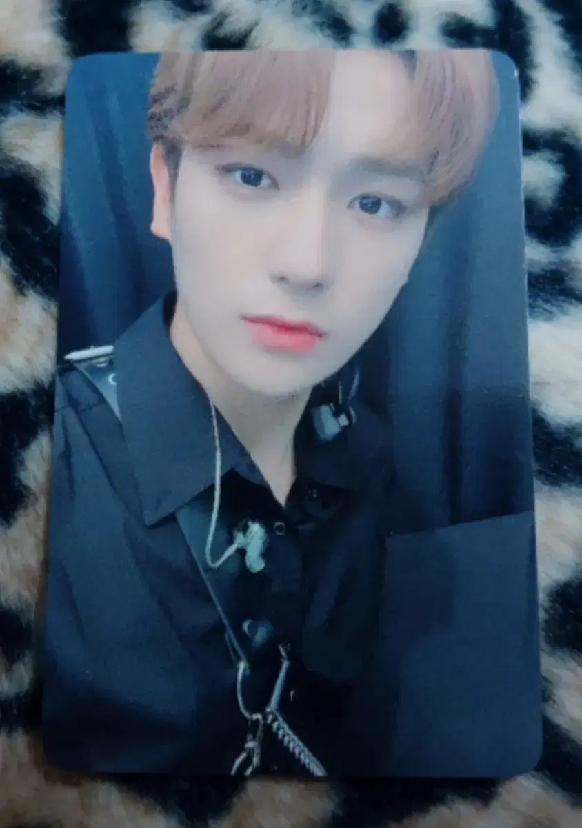 The Boyz Lapotisel hyunjae photocard