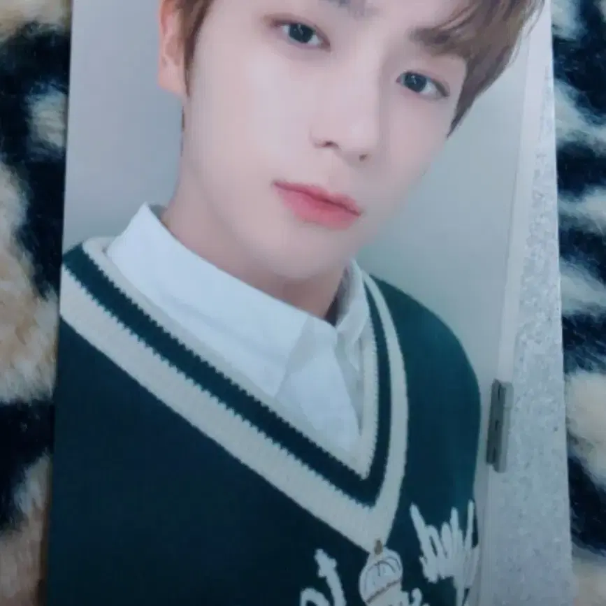 더보이즈 현재 트레카