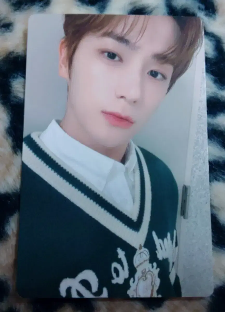 더보이즈 현재 트레카