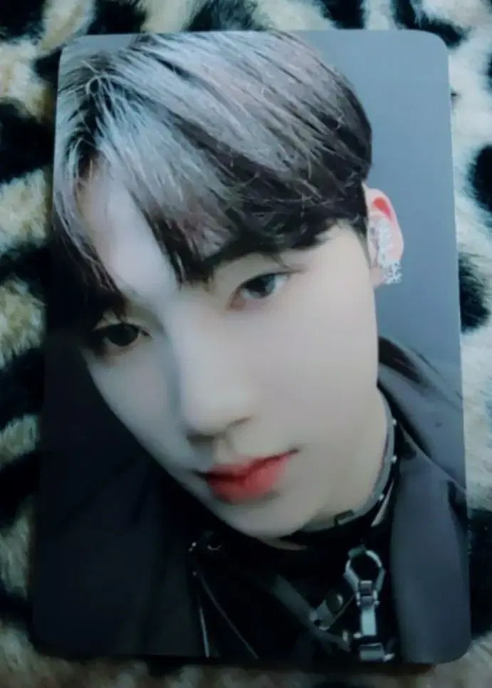 The Boyz new lafoticel photocard