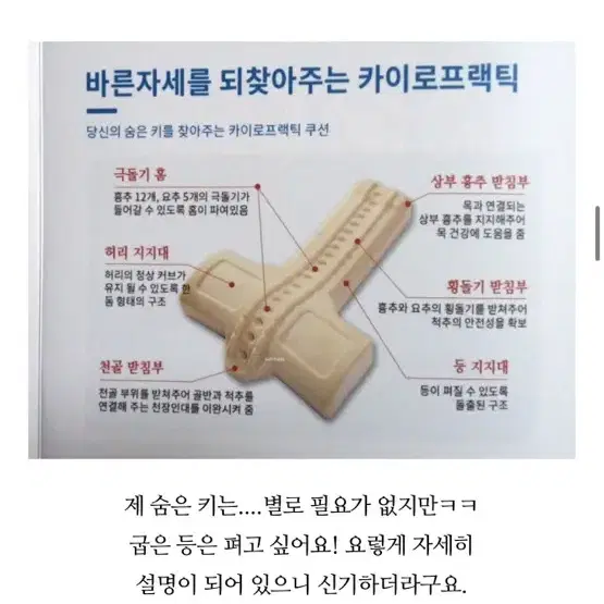 발란스코드 카이로프랙틱 허리쿠션 보조기