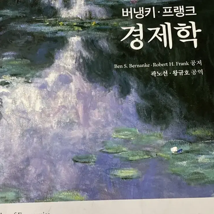 버냉키프랭크경제학