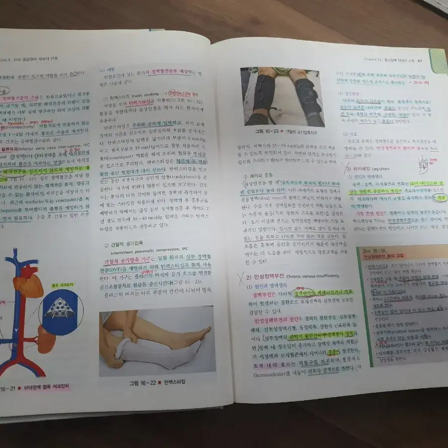 성인간호학 1.2 (현문사)