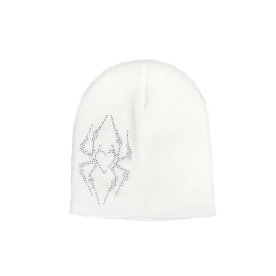 배드본보이 비니 badbornboy hotfix beanie