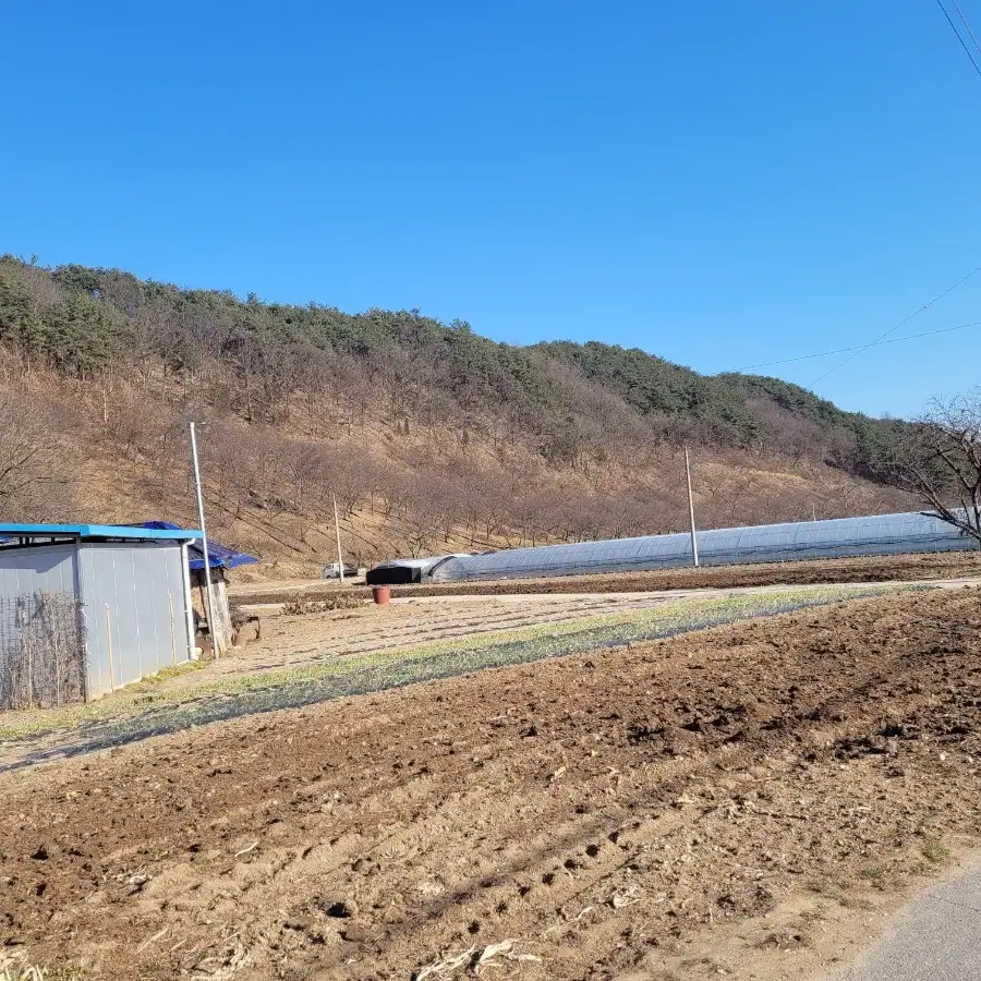 임야 및대지밤나무산  일부평당2만 이천원10600평