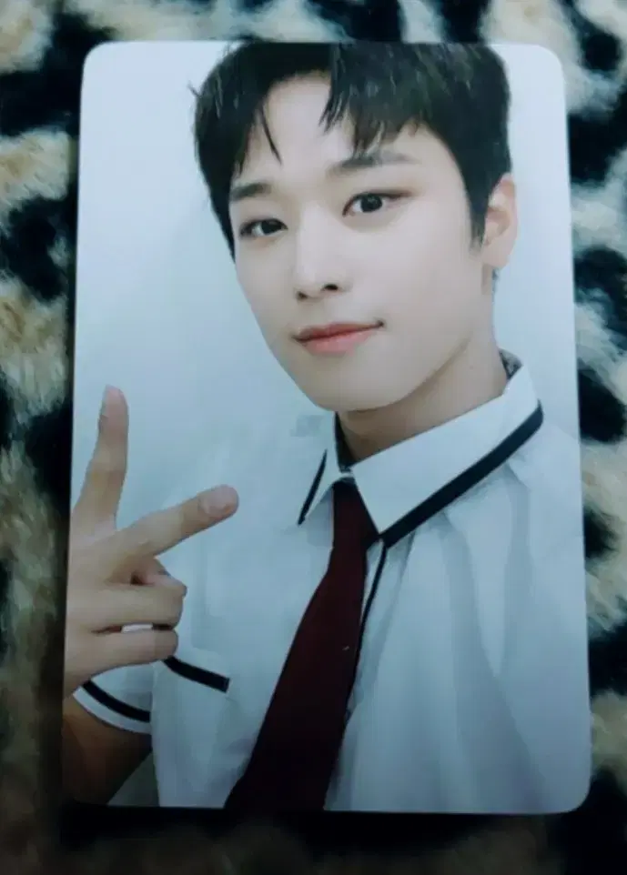 The Boyz juyeon school uniform photocard (let's do it)