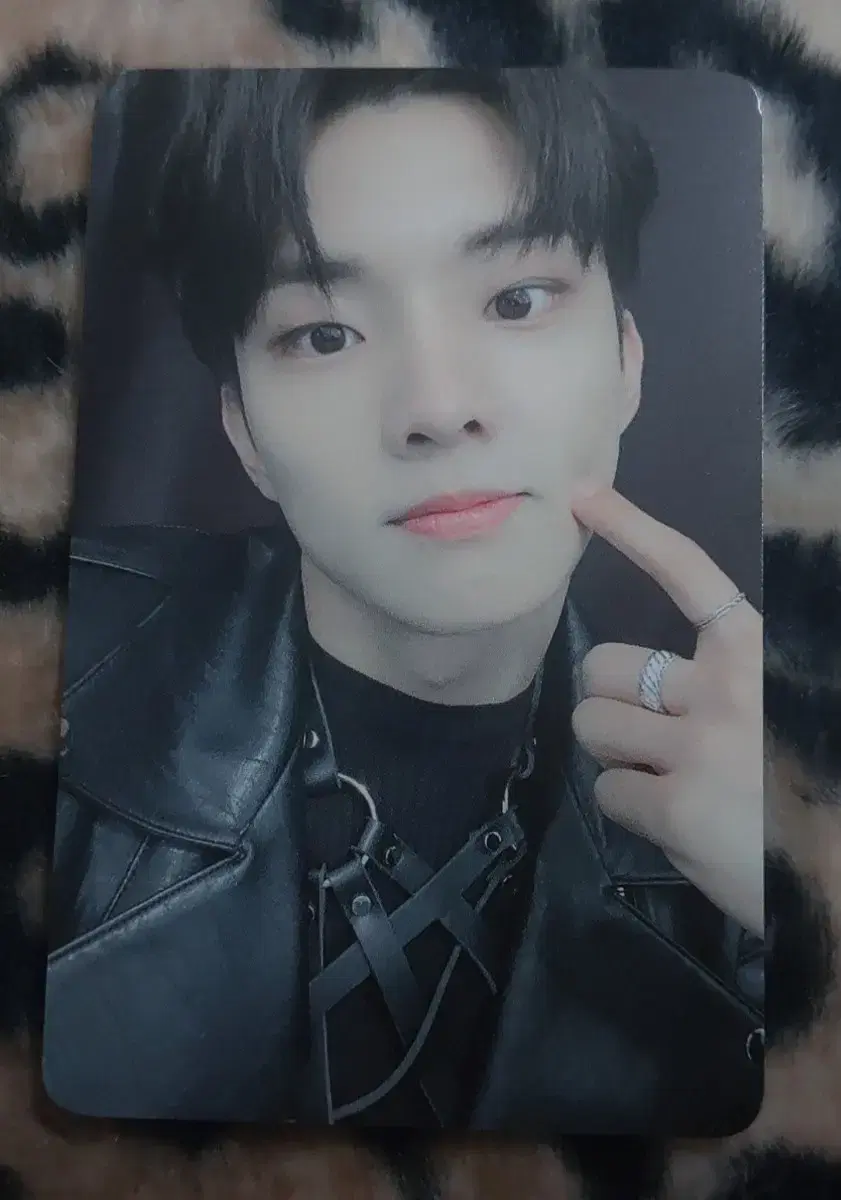 The Boyz Lapotisel q photocard