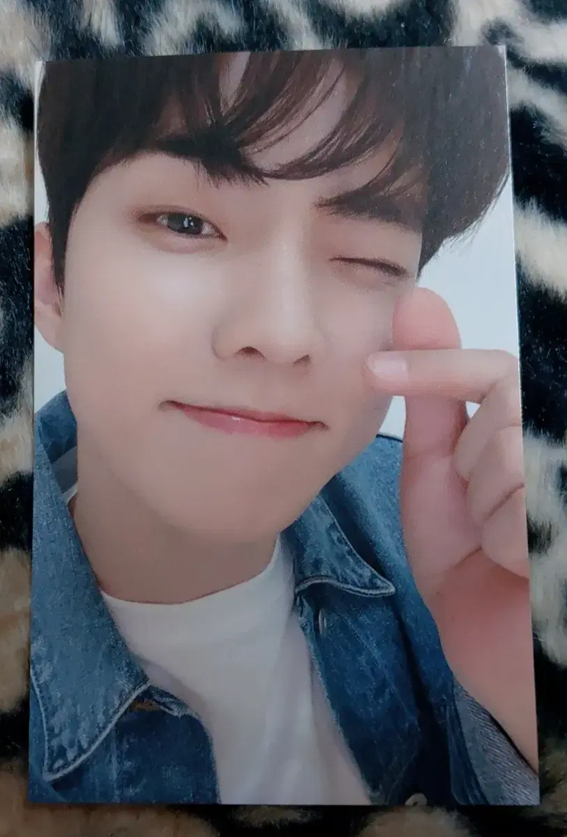 The Boyz Lapotisel q photocard