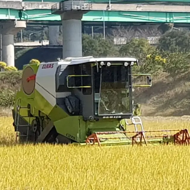 클라스콤바인용 탈곡통 및 흡입 체인 베어링 판매합니다