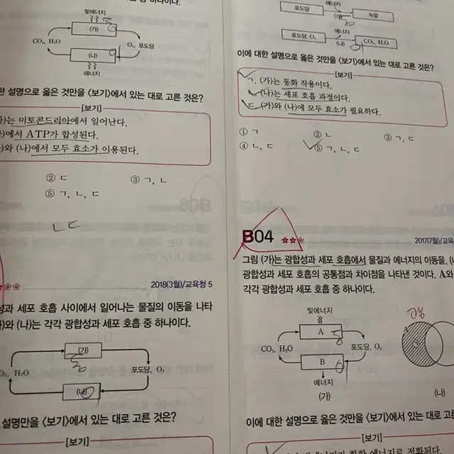 자이스토리 2022 생명과학1