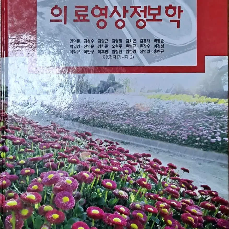 의료영상정보학