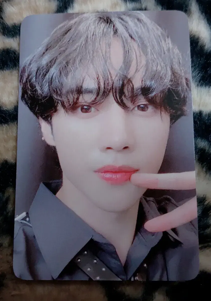 The Boyz Lapotisel sunwoo photocard