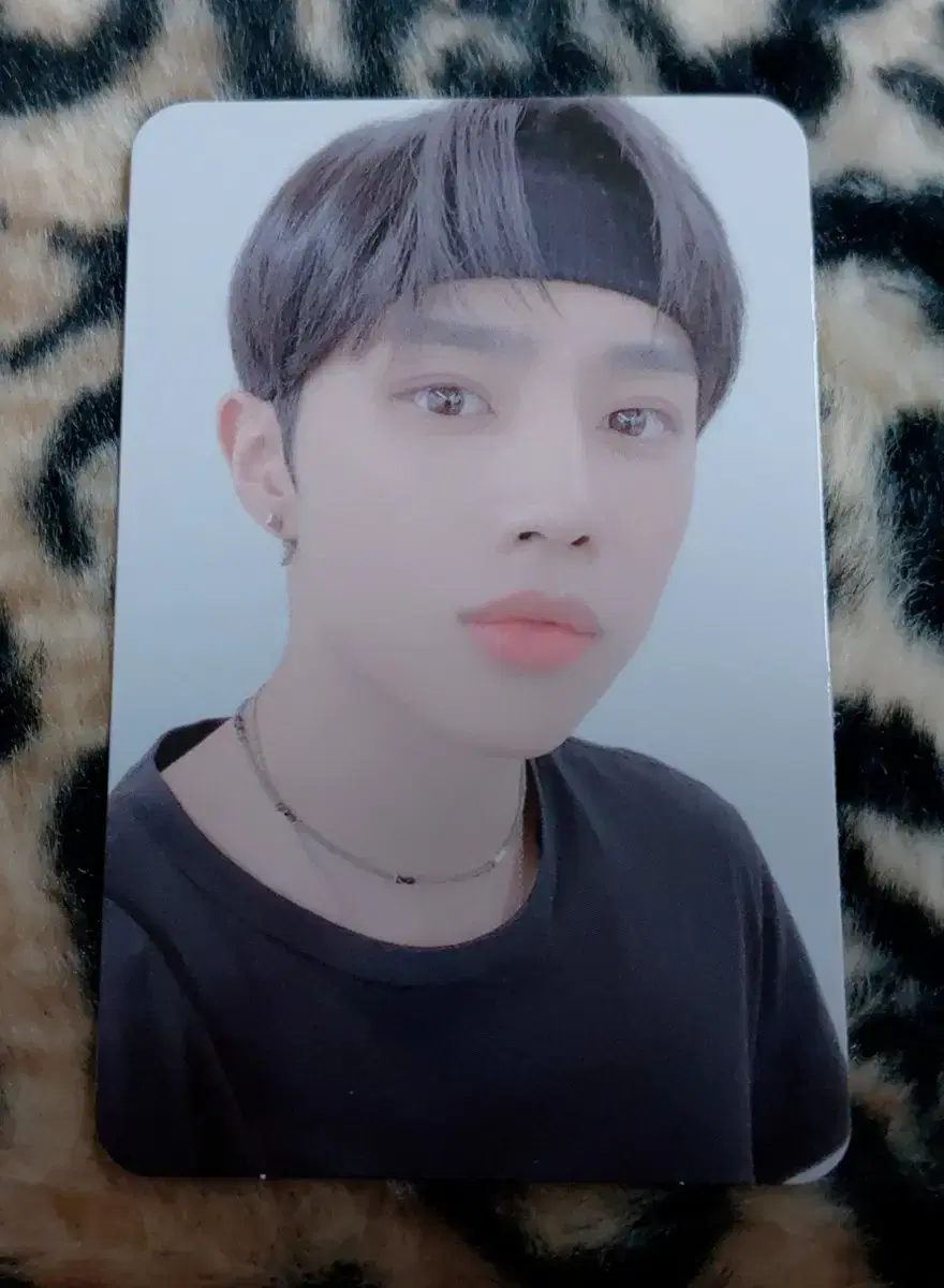 The Boyz makestar sunwoo Photocard