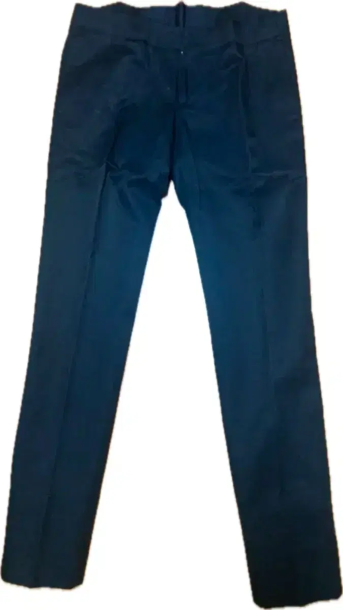 Vivienne West Men's Pants