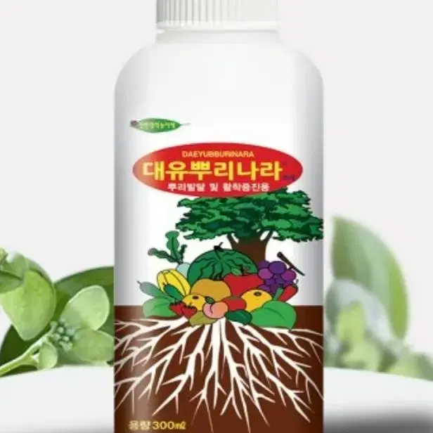 삽목제 대유 뿌리나라 60ml