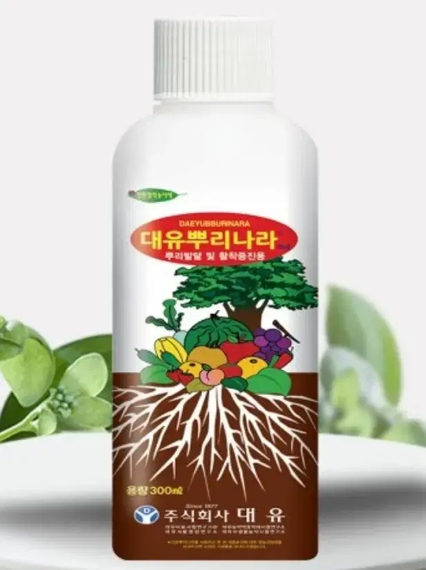 삽목제 대유 뿌리나라 60ml