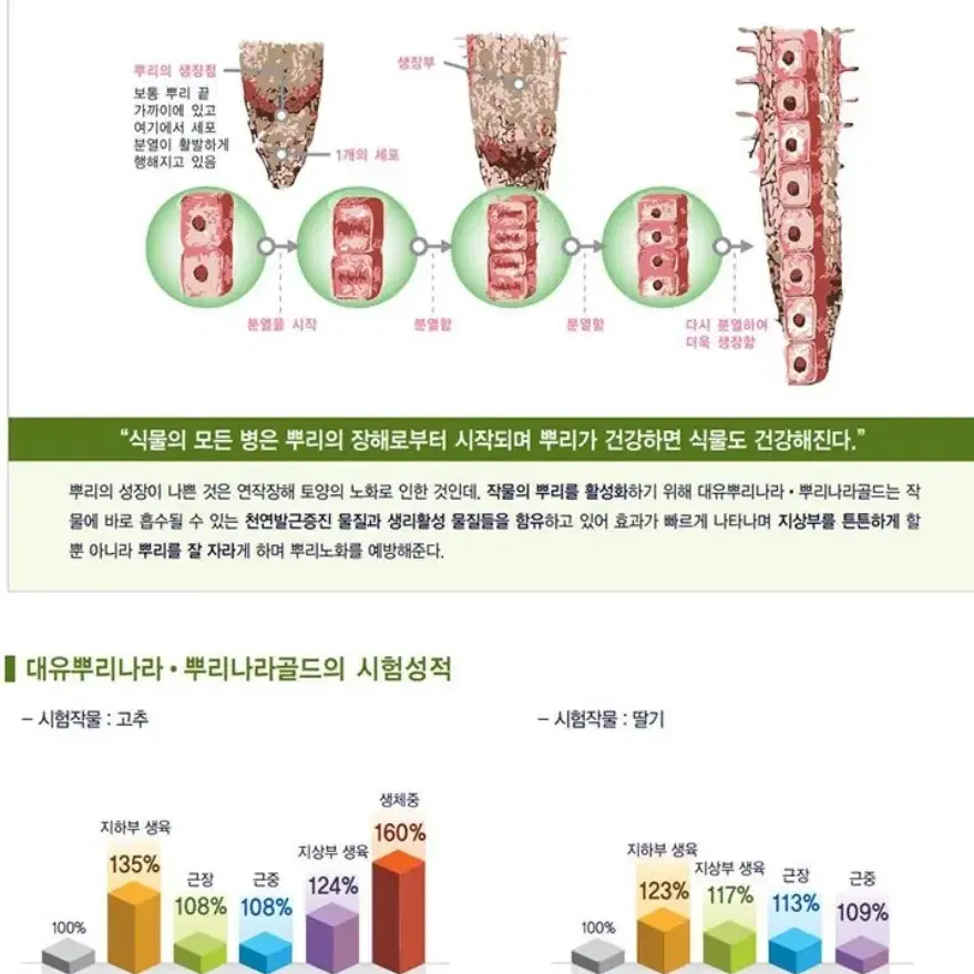 삽목제 대유 뿌리나라 60ml